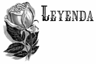 Enhance Your Brand with Leyenda