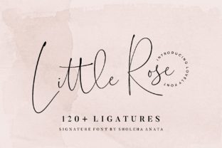 Little Rose: A Font That Transformed My Brand’s Visual Identity
