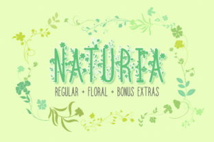 Naturia Font for Web Design and Branding